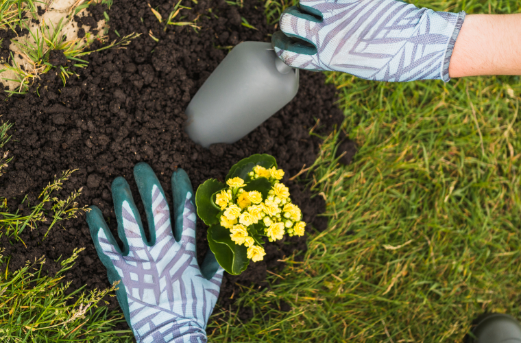 Asesoría y Jardinería